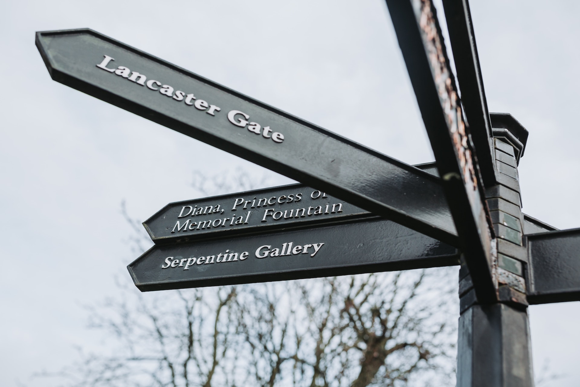 diana-serpentine-sign-bruno-martins-XmuLgPYzJfo-unsplash diana-serpentine-sign-bruno-martins-XmuLgPYzJfo-unsplash