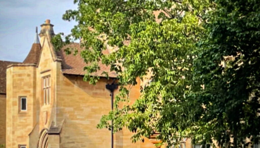 City of Oxford studying beneath the shade of a tree